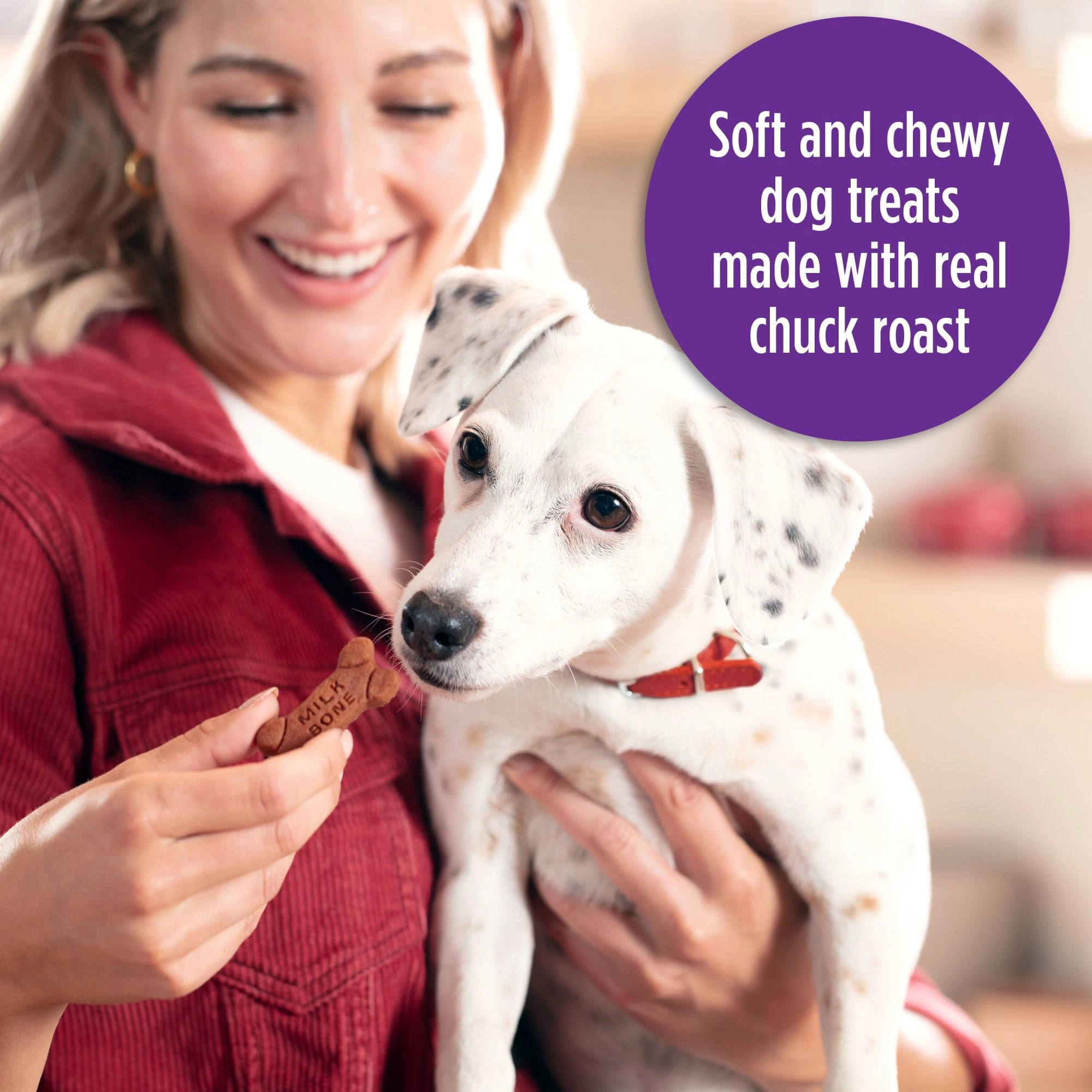 Milk-Bone Soft and Chewy Dog Treats, Beef & Filet Mignon Recipe With Chuck Roast, 5.6oz Bag