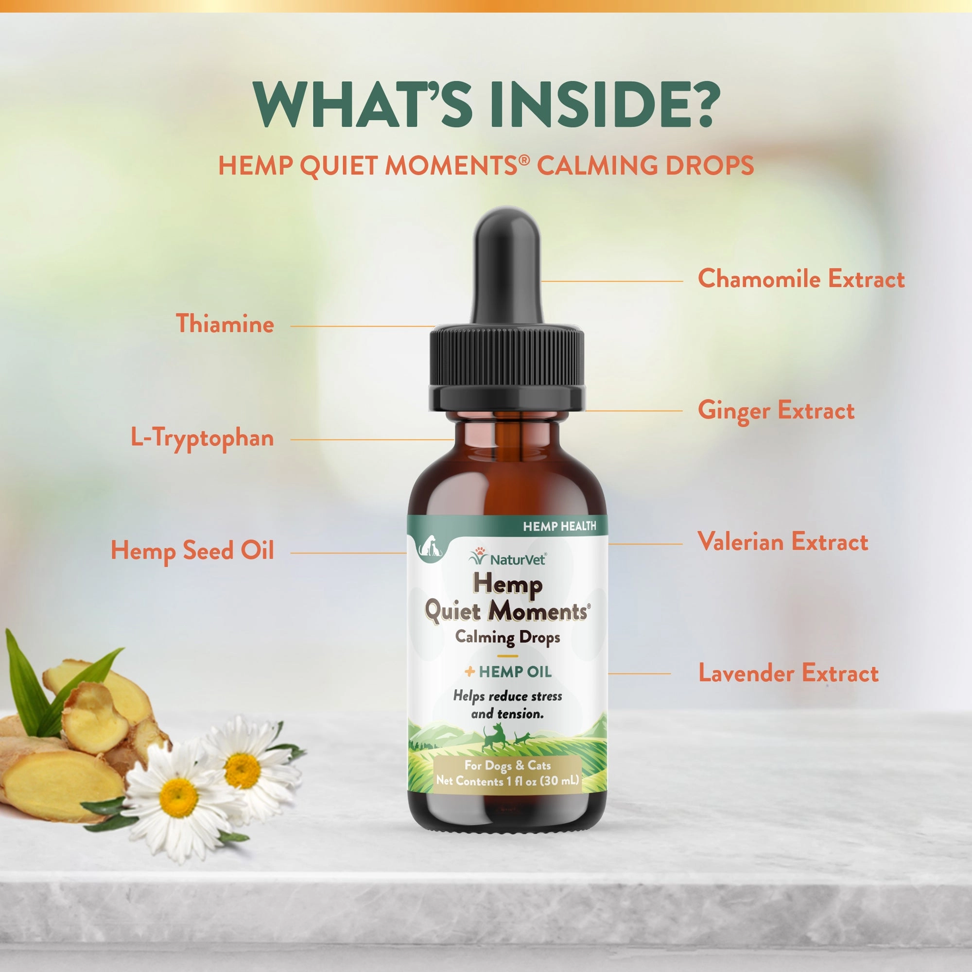 NaturVet Hemp Quiet Moments Calm Drops
