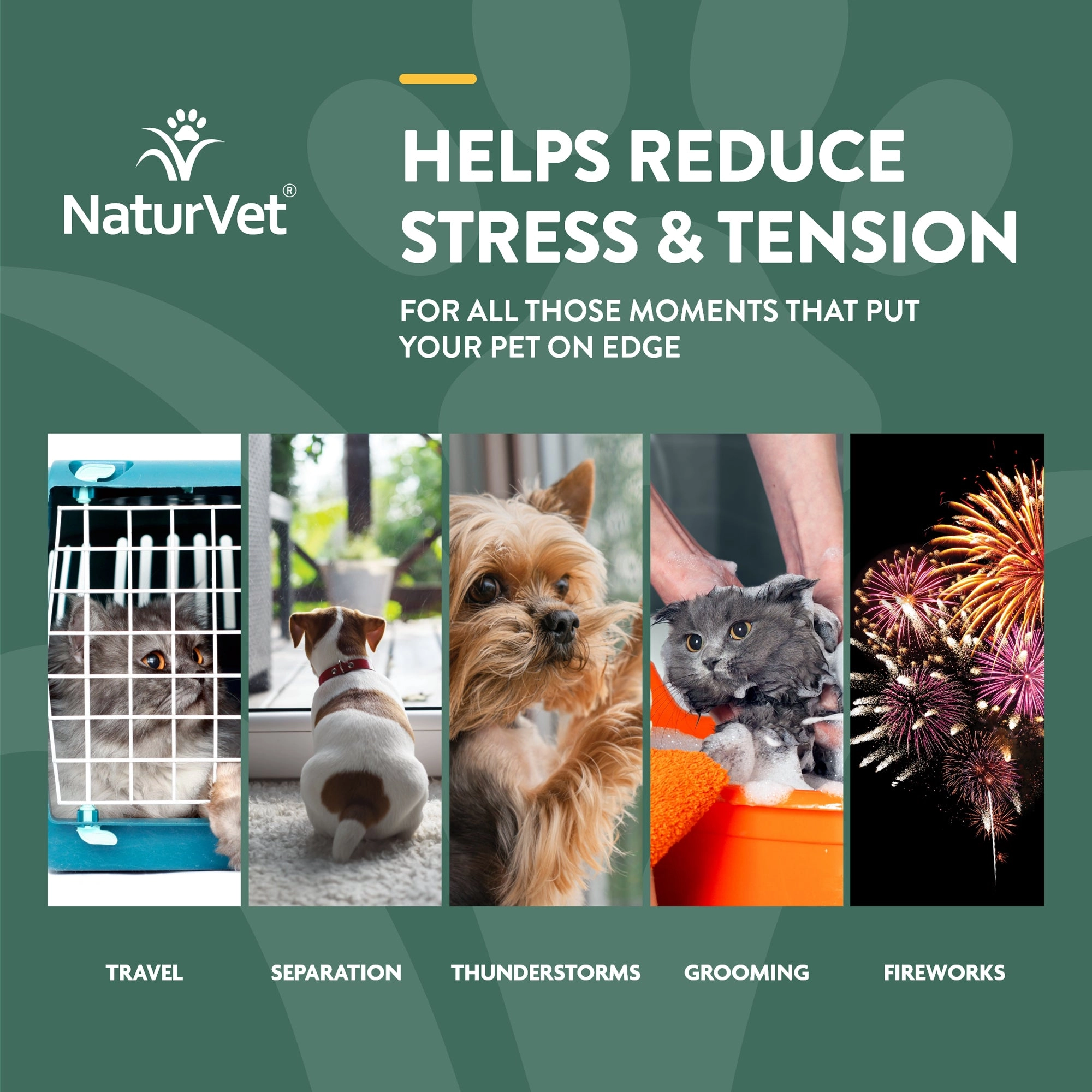 NaturVet Hemp Quiet Moments Calm Drops